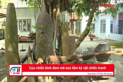 Cựu chiến binh đam mê sưu tầm kỷ vật chiến tranh