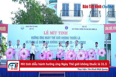 Mít tinh diễu hành hưởng ứng Ngày Thế giới không thuốc lá 31.5