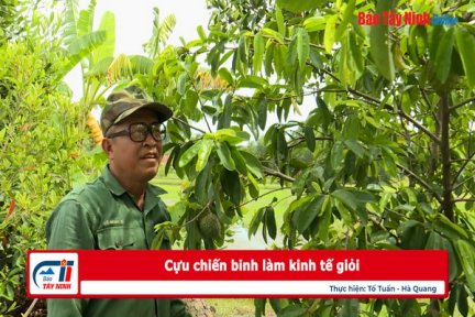 Cựu chiến binh làm kinh tế giỏi
