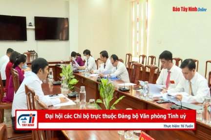 Đại hội các Chi bộ trực thuộc Đảng bộ Văn phòng Tỉnh uỷ