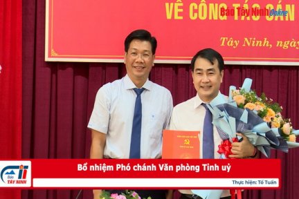 Bổ nhiệm Phó chánh Văn phòng Tỉnh uỷ