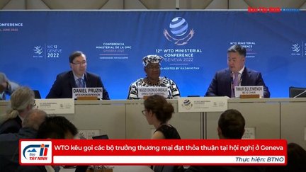 WTO kêu gọi các bộ trưởng thương mại đạt thỏa thuận tại hội nghị ở Geneva