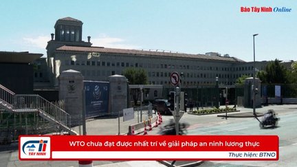 WTO chưa đạt được nhất trí về giải pháp an ninh lương thực