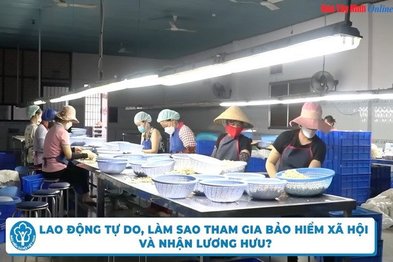 Lao động tự do, làm sao tham gia bảo hiểm xã hội và nhận lương hưu