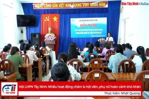 Hội LHPN Tây Ninh: Nhiều hoạt động chăm lo hội viên, phụ nữ hoàn cảnh khó khăn