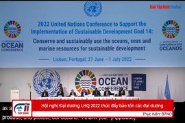Hội nghị Đại dương LHQ 2022 thúc đẩy bảo tồn các đại dương
