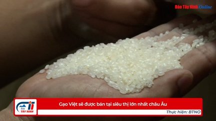 Gạo Việt sẽ được bán tại siêu thị lớn nhất châu Âu