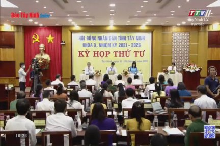 Trực tiếp Phiên Chất vấn kỳ họp thứ tư HĐND tỉnh Tây Ninh khóa X nhiệm kỳ 2021-2026