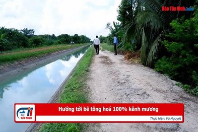 Hướng tới bê tông hoá 100% kênh mương