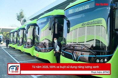 Từ năm 2025, 100% xe buýt sử dụng năng lượng xanh