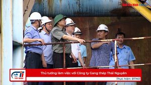 Thủ tướng làm việc với Công ty Gang thép Thái Nguyên