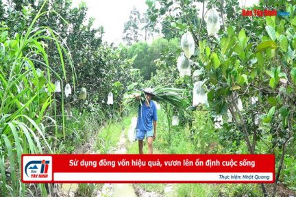 Sử dụng đồng vốn hiệu quả, vươn lên ổn định cuộc sống