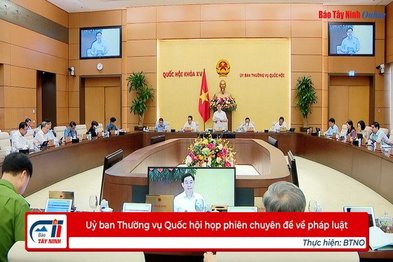 Uỷ ban Thường vụ Quốc hội họp phiên chuyên đề về pháp luật