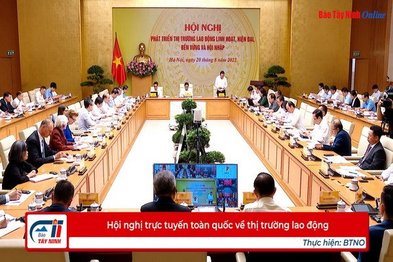 Hội nghị trực tuyến toàn quốc về thị trường lao động