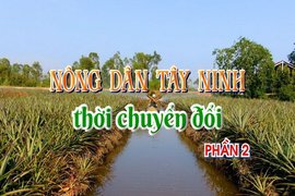 Nông dân Tây Ninh thời chuyển đổi-Phần 2