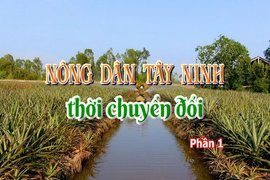 Nông dân Tây Ninh thời chuyển đổi-Phần 1