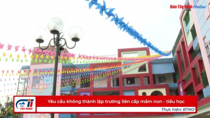 Yêu cầu không thành lập trường liên cấp mầm non - tiểu học