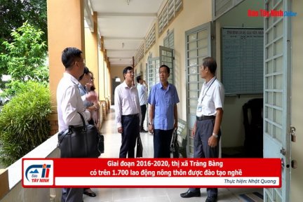 Giai đoạn 2016-2020, thị xã Trảng Bàng có trên 1.700 lao động nông thôn được đào tạo nghề