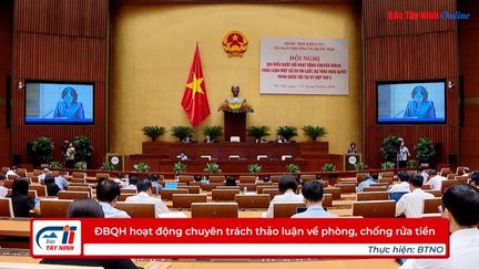 ĐBQH hoạt động chuyên trách thảo luận về phòng, chống rửa tiền