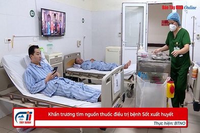 Khẩn trương tìm nguồn thuốc điều trị bệnh Sốt xuất huyết