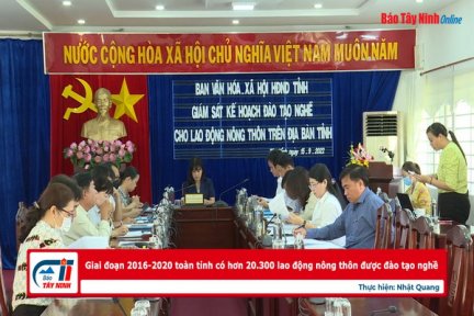 Giai đoạn 2016-2020: Toàn tỉnh Tây Ninh có hơn 20.300 lao động nông thôn được đào tạo nghề