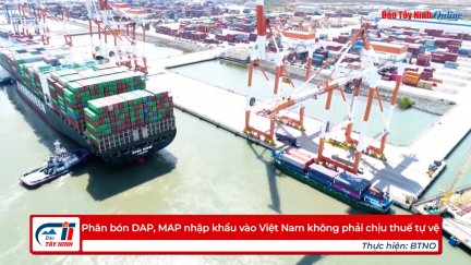 Phân bón DAP, MAP nhập khẩu vào Việt Nam không phải chịu thuế tự vệ