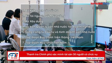 Thanh tra Chính phủ xác minh tài sản 30 người có chức vụ