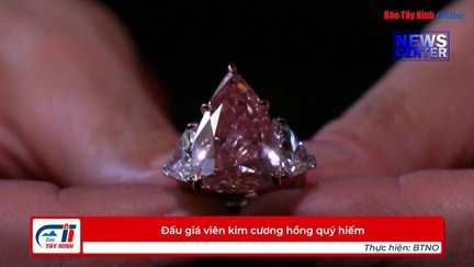 Đấu giá viên kim cương hồng quý hiếm