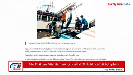 Báo Thái Lan: Việt Nam nỗ lực loại bỏ đánh bắt cá bất hợp pháp