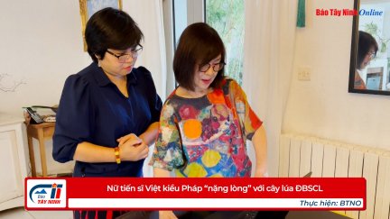 Nữ tiến sĩ Việt kiều Pháp « nặng lòng » với cây lúa ĐBSCL
