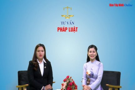 Lừa đảo trong hoạt động cho vay tín chấp