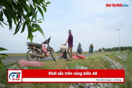 Khởi sắc trên vùng biên A8