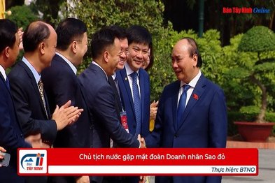 Chủ tịch nước gặp mặt đoàn Doanh nhân Sao đỏ