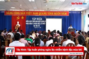 Tây Ninh: Tập huấn phòng ngừa lây nhiễm bệnh đậu mùa khỉ