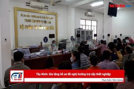 Tây Ninh: Gia tăng hồ sơ đề nghị hưởng trợ cấp thất nghiệp
