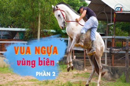 Vua ngựa vùng biên-Phần 2