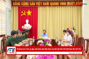 Thường trực Tỉnh uỷ  gặp mặt đoàn đại biểu tham dự Đại hội Hội CCB Việt Nam lần thứ VII