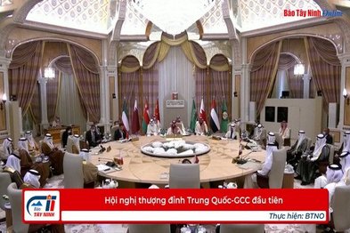 Hội nghị thượng đỉnh Trung Quốc-GCC đầu tiên