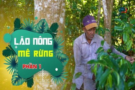 Lão nông mê rừng-Phần 1