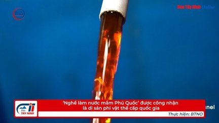 ‘Nghề làm nước mắm Phú Quốc’ được công nhận là di sản phi vật thể cấp quốc gia