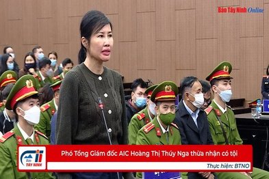 Phó Tổng Giám đốc AIC Hoàng Thị Thúy Nga thừa nhận có tội