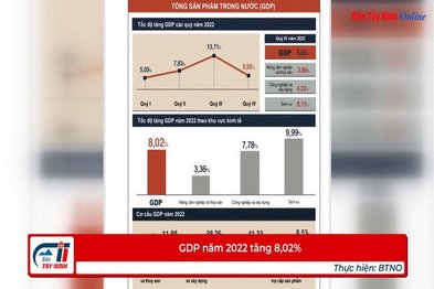 GDP năm 2022 tăng 8,02%