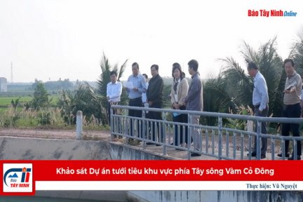 Khảo sát Dự án tưới tiêu khu vực phía Tây sông Vàm Cỏ Đông