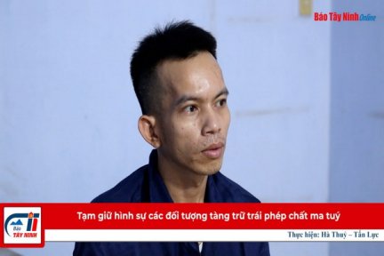 Tạm giữ hình sự các đối tượng tàng trữ trái phép chất ma tuý