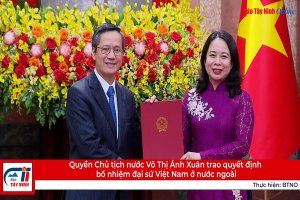 Quyền Chủ tịch nước Võ Thị Ánh Xuân trao quyết định bổ nhiệm đại sứ Việt Nam ở nước ngoài