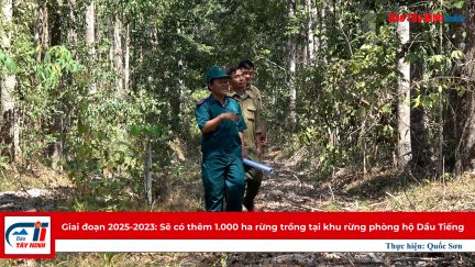 Giai đoạn 2023-2025: Sẽ có thêm 1.000 ha rừng trồng tại khu rừng phòng hộ Dầu Tiếng