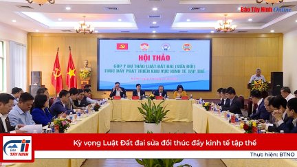 Kỳ vọng Luật Đất đai sửa đổi thúc đẩy kinh tế tập thể