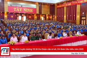 Tây Ninh tuyên dương 133 Bí thư Đoàn cấp cơ sở, Chi đoàn tiêu biểu năm 2023