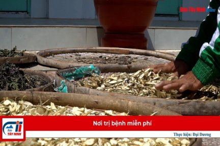Nơi trị bệnh miễn phí