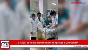 5 lọ giải độc hiếm điều trị chùm ca ngộ độc ở Quảng Nam